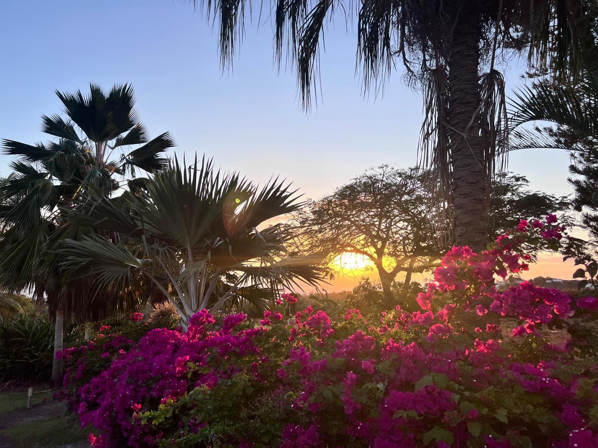 Villa Jouanacaera ลาการ์เบต์ ภายนอก รูปภาพ